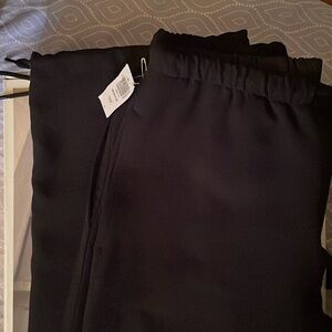 Aritzia Dress pants